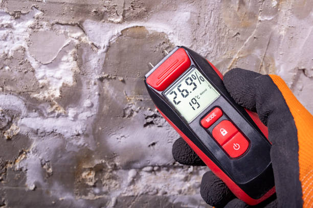 Best Home Mold Removal  in Lumberton, MS