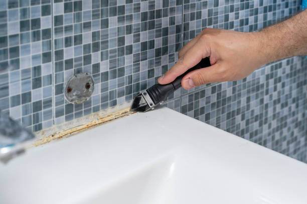 Best Toxic Mold Removal  in Lumberton, MS