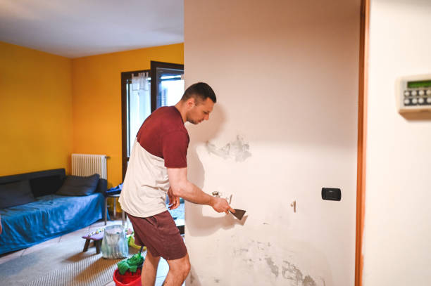 Best Local Mold Removal Service  in Lumberton, MS